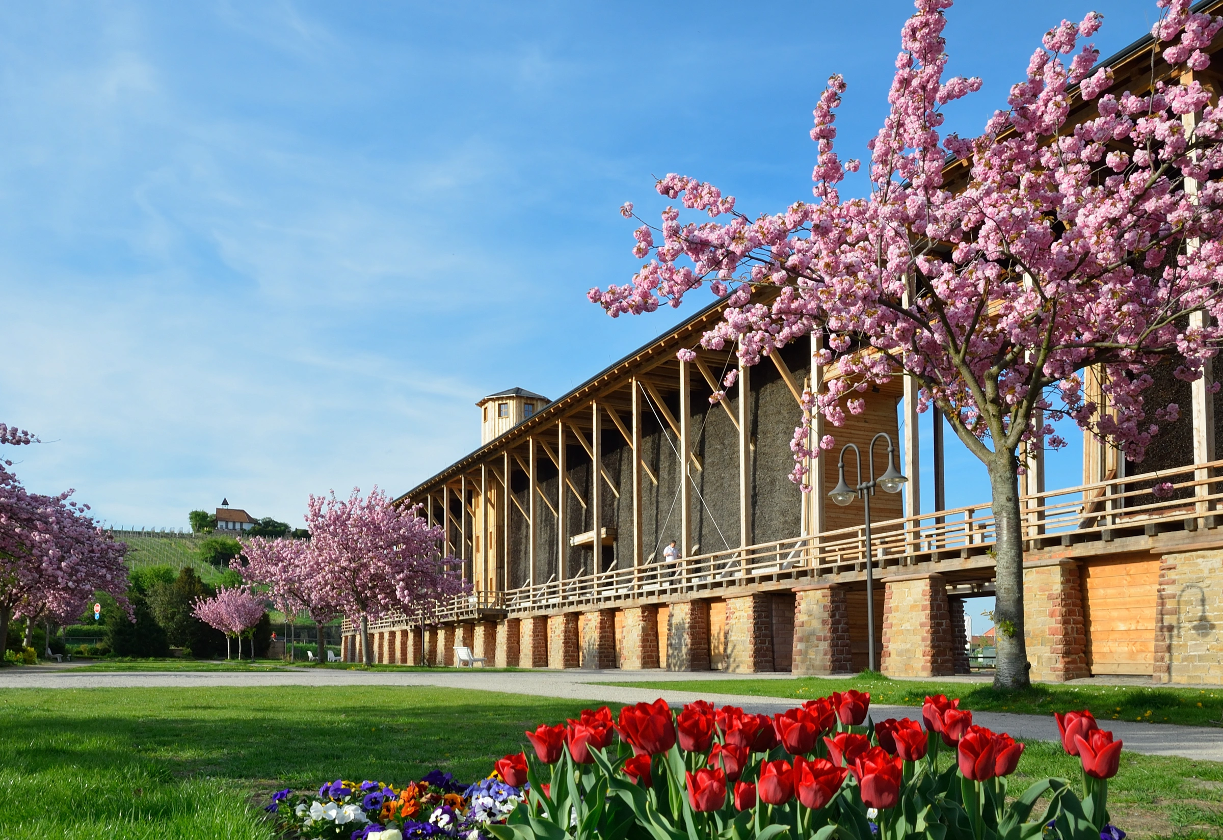bad-duerkheim-saline-gradierwerk-pfalz Bad Dürkheim in der Vorderpfalz – attraktive Wohnregion für Immobilienkäufer und Eigentümer